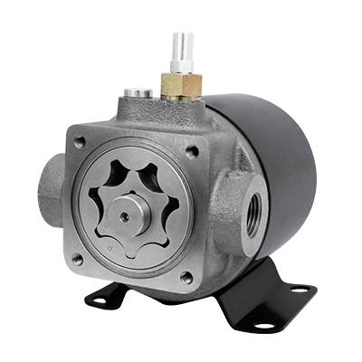 Integrated DC motor oil pump